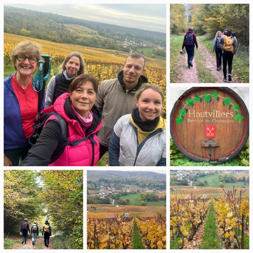 paysage autour d'Hautvillers